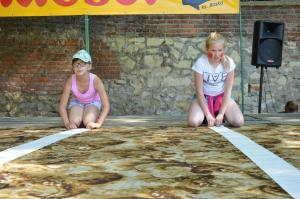 Dzień Radości 2017 315