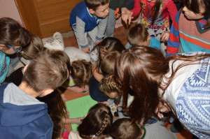 Ferie Dzień 5 2017 071